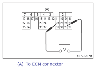 G13640904