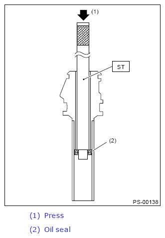 G13648375