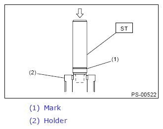 G13648392