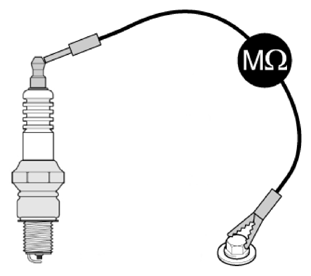 G13704497