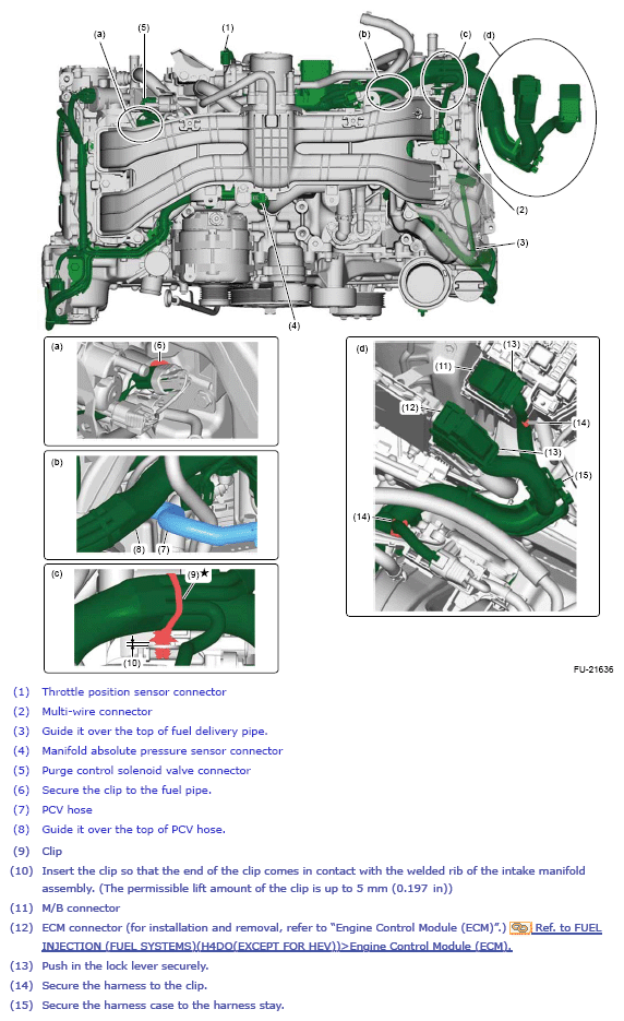G13875282