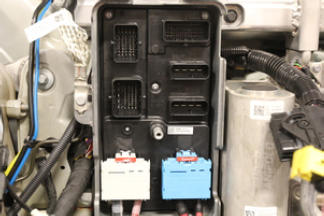 G15437395