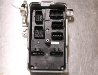 G15437405