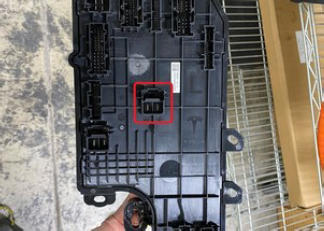 G15437482