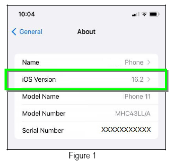 G15500000