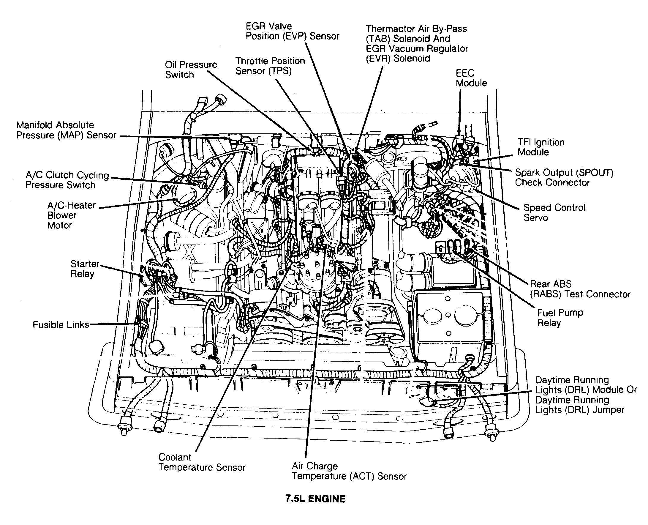 G91E11993