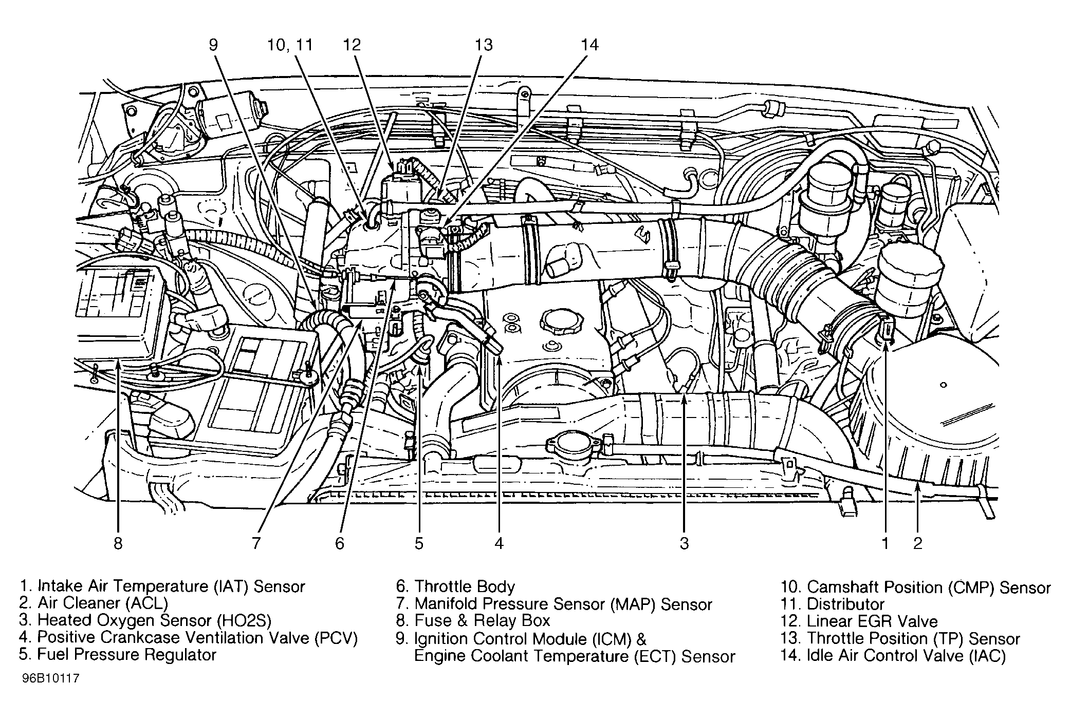 G96B10117