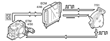 GLL157483